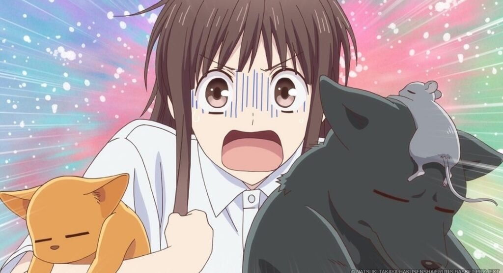 Fruits Basket Tohru Honda Shocked