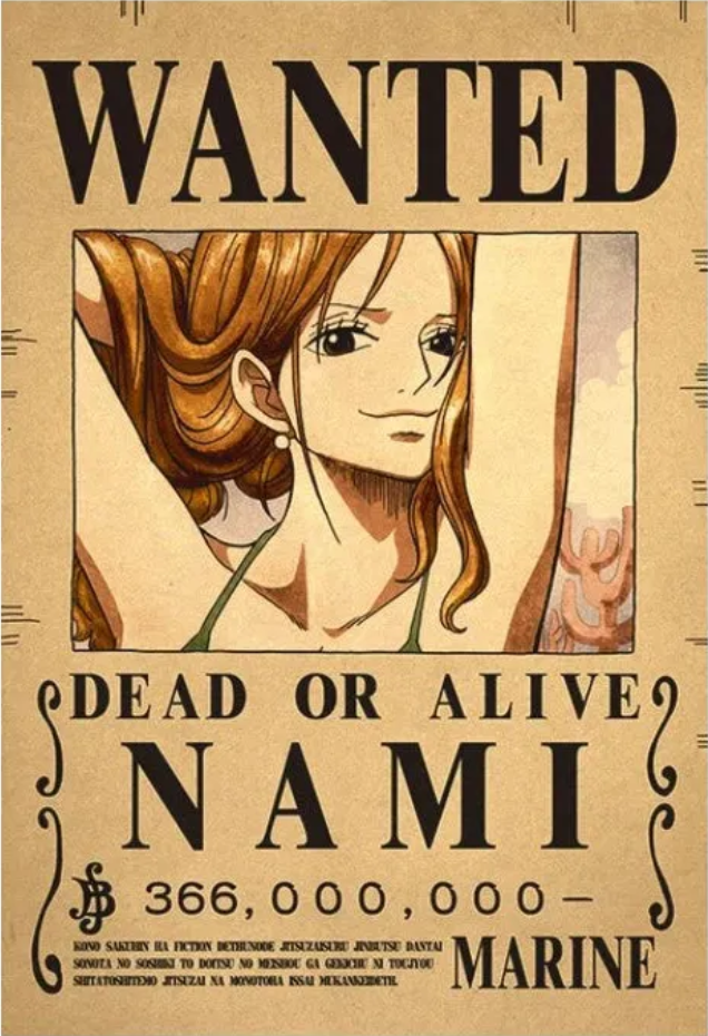 Cat Burglar Nami Bounty